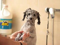 -北京恒爱动物医院(清景园分院)