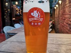 出其不意拳淡色艾尔-Boxing Cat Brewery拳击猫精酿啤酒馆(永福店)