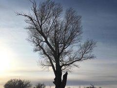 泷珠奶茶-益禾堂(宝岗店)