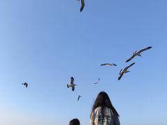 -悦海公园