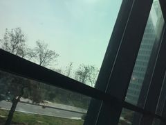 -青岛青龙美爵酒店·阳光海岸西餐厅