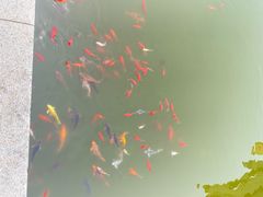 -龙口南山旅游景区