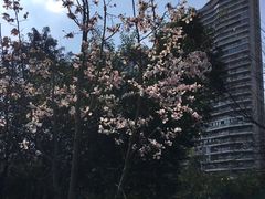 -重庆彩云湖湿地公园
