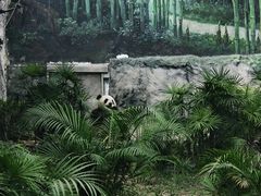 -石排湾郊野公园