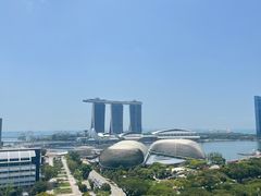 -新加坡瑞士史丹福酒店