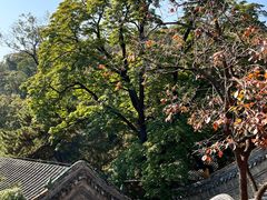 -潭柘寺景区