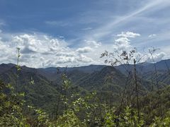 -黑河国家森林公园