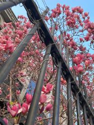 -北京大学第一医院妇产儿童医院