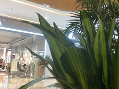 -优衣库(天津天河城店)