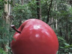 -深圳国际园林花卉博览园