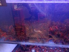 -虾铺子龙虾·私房菜(金源花苑店)