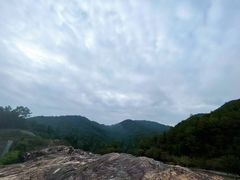 -广州白江湖森林公园