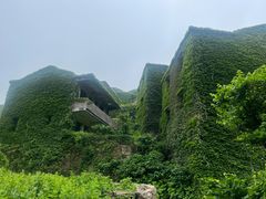 -枸杞岛