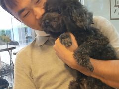 -PETKIT小佩宠物(古北店)