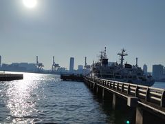 -台场海滨公园船码头
