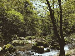 -溪口-滕头旅游景区