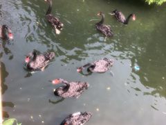 -长白岛森林公园