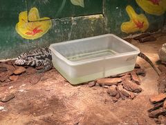 -上海大自然野生昆虫馆