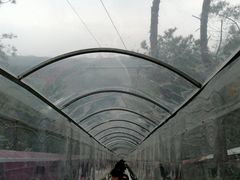 -牛鱼嘴原始生态风景区