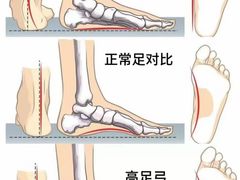 -体博士·疼痛调理·体态矫正·运动康复中心(大望路华贸店)