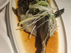 清蒸老虎斑-万龙洲海鲜(亚运村店)