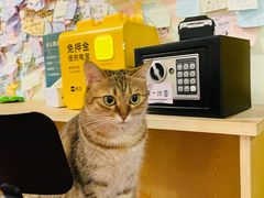 -H立方实景剧情密室(天河旗舰店)