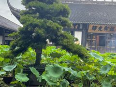 -宝光寺