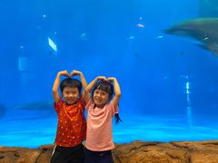 -华夏文旅海洋公园