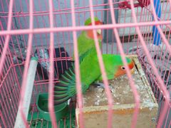 android_upload_pic-哈尔滨香格里拉大酒店