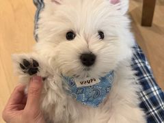 -LANN I 蘭 泰式古法按摩(徐家汇城开YOYO店)