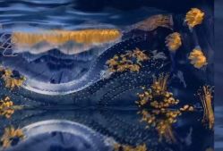 -天邑国际酒店·宴会厅