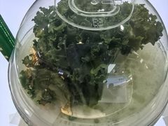 -鲜果时间·果蔬茶(赛格负二层店)