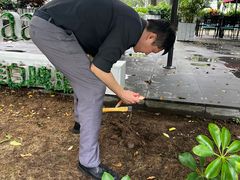 -唐廊烤鸭店(工体店)