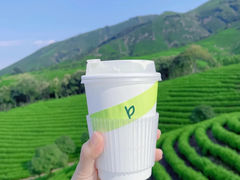 -白茶原·一片叶子