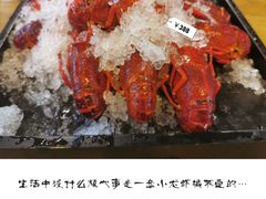 -旺小胖小龙虾
