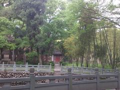 宽敞幽静的环境-阿育王寺