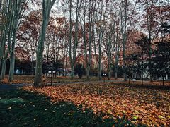 -河南省黄河迎宾馆