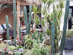 -悦哉·派对·草坪婚礼·围炉煮茶(三圣乡店)