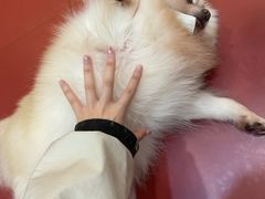 -和它·交个朋友·狗咖猫咖(爱琴海店)
