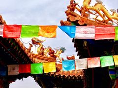 -大召无量寺