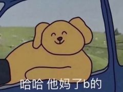 -瑞派中心宠物医院·CT·核磁·神经专科