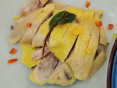 -新名仕新白玉兰餐厅