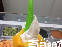 -Salud撒露欧洲冻酸奶(五道口购物中心店)
