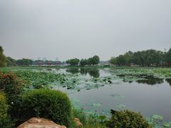 -长春市南湖公园