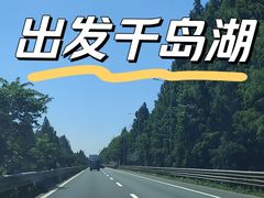 -宝荣鱼馆·临湖之宴(千岛湖店)