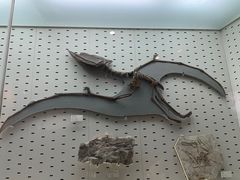 -浙江自然博物院(杭州馆)