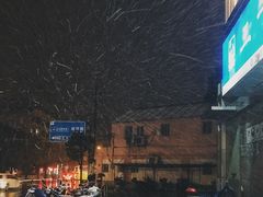 -上海动物园(地铁站)