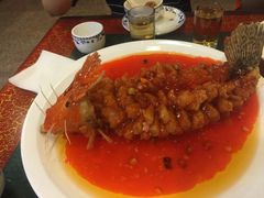 -丁老爷子苏香圆