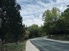 -永定河休闲森林公园