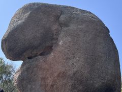 -花竹村